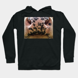 cow mouth face mask - cow lover gifts - cow face masks funny Hoodie